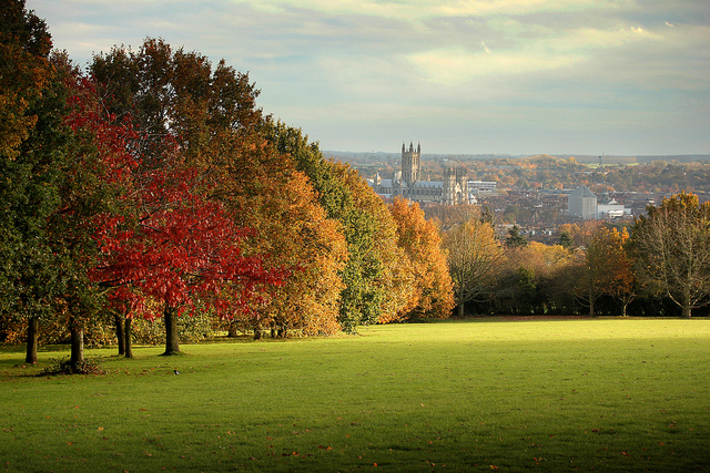 Foto col sole per farmi invidia.